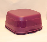 Expression Square Cake Server