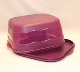 Expression Square Cake Server