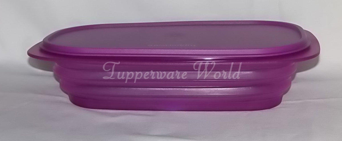 Mini Max – Tupperware World