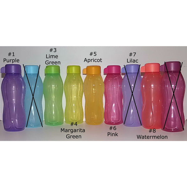 Eco Bottle 310ml