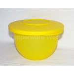 Expression Bowl 500ml