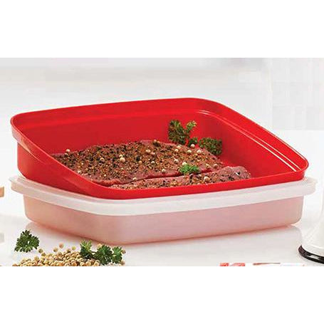 Tupperware 1294 Season n Serve Meat Marinade Container, Tupperware Meat  Marinator, Tupperware Season Marinater #7162