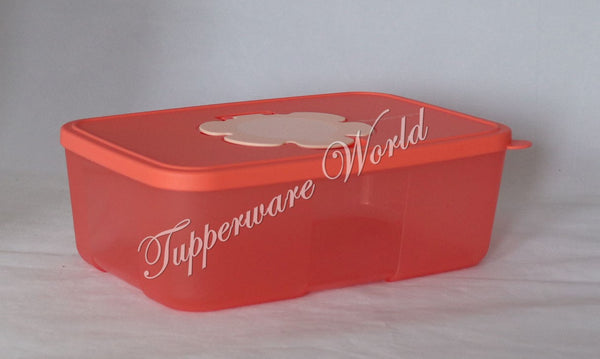 Tupperware Wipes Boxes